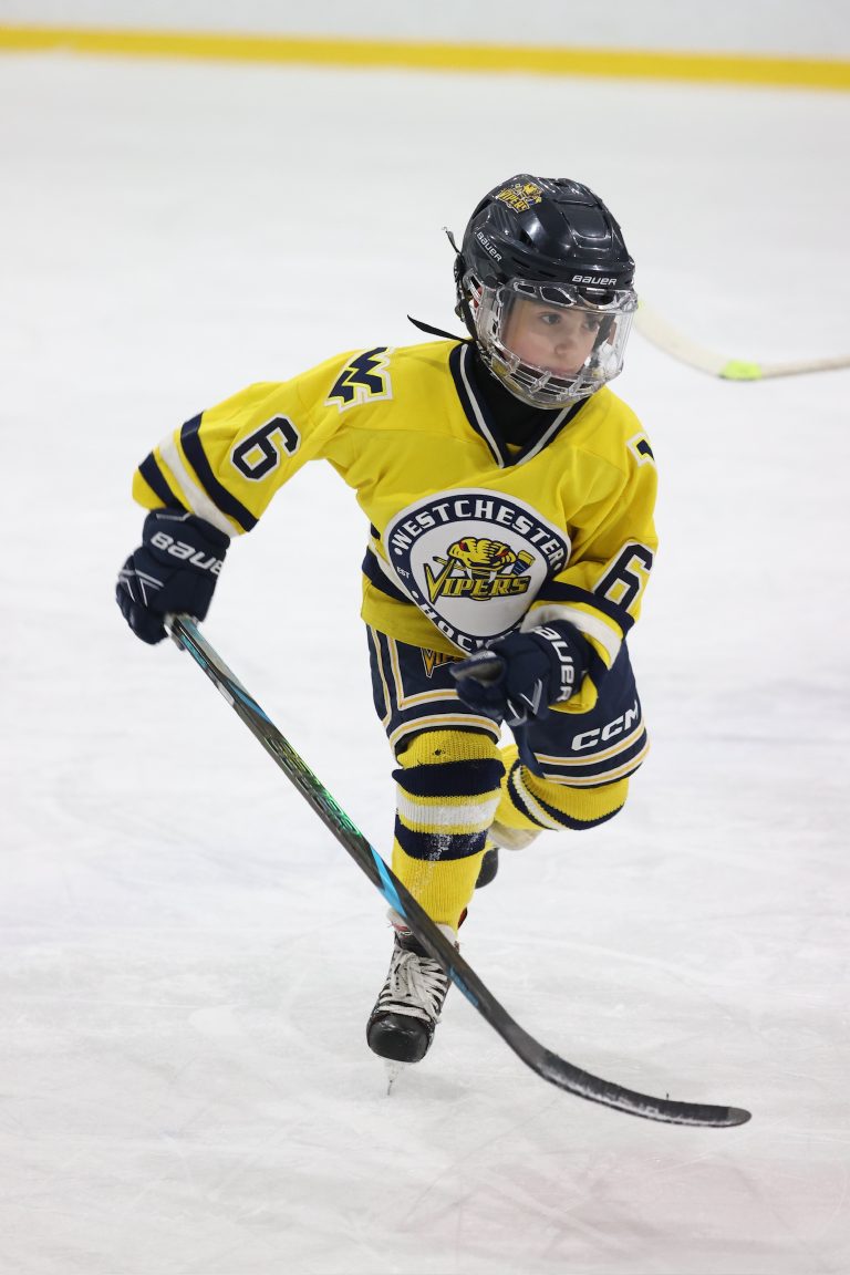 Young kid with a playing ice hockey